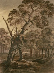 Forest Scene, A Giant Scots Fir and Forest Glade, 1771 (pen og blæk og vask på papir)